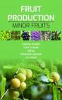 Fruit Production: Minor Fruits - Preview