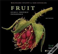 Capa do artigo Fruit