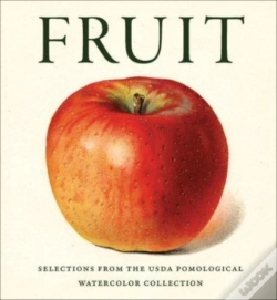 Capa do artigo Fruit