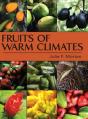 Fruits Of Warm Climates - Preview