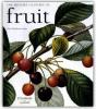 Fruits - Preview