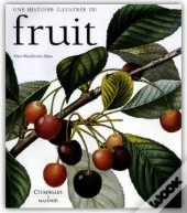 Fruits