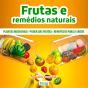 Frutas E Remédios Medicinais - Preview
