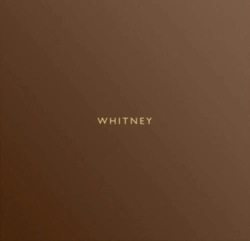 Capa do artigo FTA - Vinil