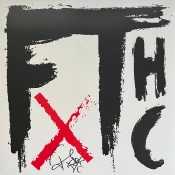 Capa do artigo FTHC - Vinil