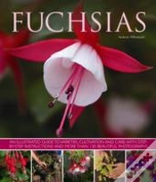 Capa do artigo Fuchsias