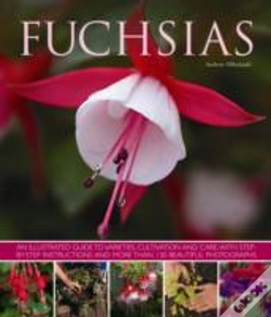 Capa do artigo Fuchsias