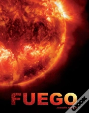 Capa do artigo Fuego