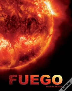 Capa do artigo Fuego