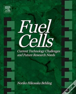 Capa do artigo Fuel Cells