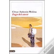 Capa do artigo Fuga Del Amor