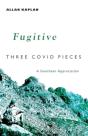 Fugitive - Preview
