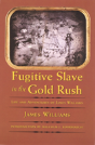 Fugitive Slave In The Gold Rush - Preview