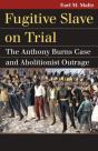 Fugitive Slave On Trial - Preview