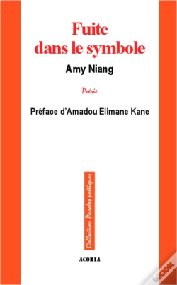 Capa do artigo Fuite Dans Le Symbole