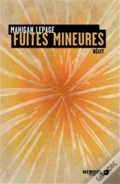 Fuites Mineures