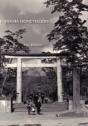 Fujiyama Honeymoon - Preview
