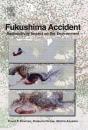 Fukushima Accident - Preview