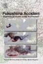 Fukushima Accident - Preview