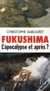 Fukushima, L'Apocalypse Et Après ?