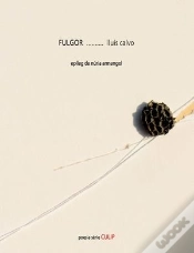 Capa do artigo Fulgor
