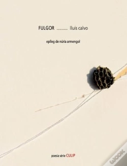 Capa do artigo Fulgor