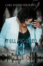 Full Figured 13 - Preview