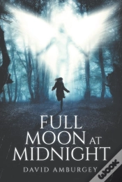 Capa do artigo Full Moon At Midnight