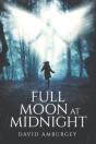 Full Moon At Midnight - Preview