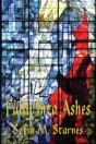 Fully Into Ashes - Preview