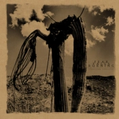 Capa do artigo Function Collapse - Vinil