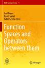 Function Spaces And Operators Between Them - Preview