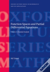 Function Spaces And Partial Differential Equations