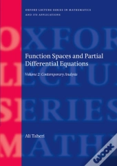 Function Spaces And Partial Differential Equations