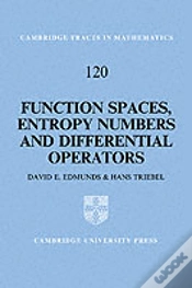 Capa do artigo Function Spaces, Entropy Numbers, Differential Operators