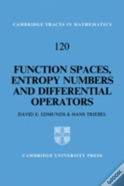Capa do artigo Function Spaces, Entropy Numbers, Differential Operators