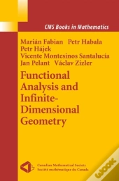 Functional Analysis And Infinite-Dimensional Geometry