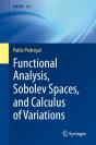 Functional Analysis, Sobolev Spaces, And Calculus Of Variations - Preview
