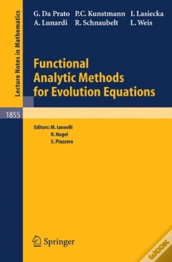 Capa do artigo Functional Analytic Methods For Evolution Equations