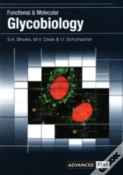 Capa do artigo Functional And Molecular Glycobiology