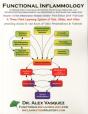 Functional Inflammology: Volume 1: Intro - Preview