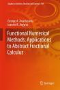 Functional Numerical Methods: Applications To Abstract Fractional Calculus - Preview