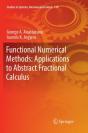 Functional Numerical Methods: Applications To Abstract Fractional Calculus - Preview