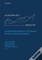 Fundamental Aspects Of Turbulent Flows In Climate Dynamics