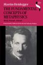 Fundamental Concepts Of Metaphysics - Preview