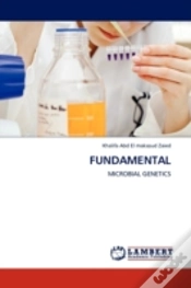 Capa do artigo Fundamental