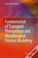 Fundamental Of Transport Phenomena And Metallurgical Process Modeling