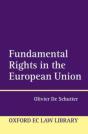 Fundamental Rights In The European Union - Preview