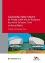Fundamental Rights Violations By Private Actors And The Procedure Before The Echr - Preview