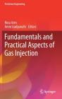 Fundamentals And Practical Aspects Of Gas Injection - Preview